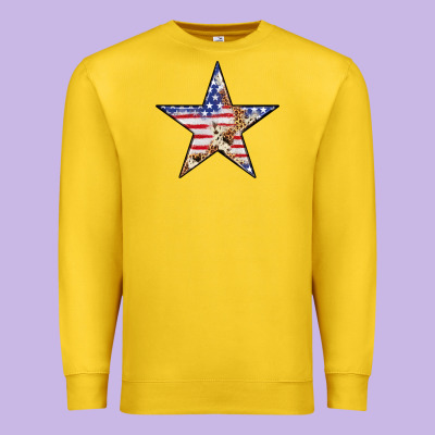 American Flag Star Premium Sweatshirt Designed By Lillyallendesigns