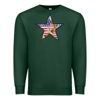 Sports Green American Flag Star Premium Sweatshirt - LillyAllenDesigns