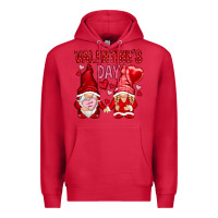 Cardinal valentines day with gnomies Premium Hoodie - NancyCooperArtShop