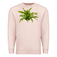 Pale Pink Lemon Lime Dracaena Leaf Premium Sweatshirt - LillyAllenDesigns