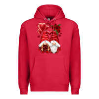 Cardinal valentines day gnomies Premium Hoodie - NancyCooperArtShop