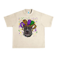 Sandshell mardi gras pitbull Urban Heavy Tee - RanaPortraitStore