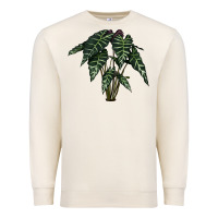 Sandshell Amazon Elephant Ear Premium Sweatshirt - LillyAllenDesigns