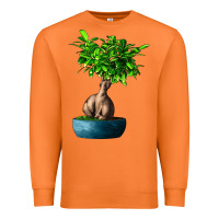 Carrot Ficus Ginsenge Premium Sweatshirt - LillyAllenDesigns