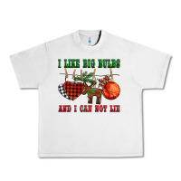 I Like Big Bulbs And I Can Not Lie Urban Heavy Tee | Teevron