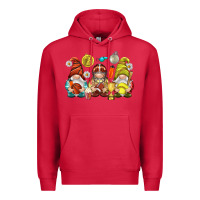 Cardinal sports gnomies Premium Hoodie - NancyCooperArtShop