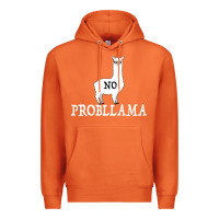 Carrot No Problama Premium Hoodie - Bettercallsaul