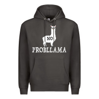 Smoke No Problama Premium Hoodie - Bettercallsaul