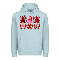Blue Mist valentines day gnomies with heart balloon Premium Hoodie - NancyCooperArtShop