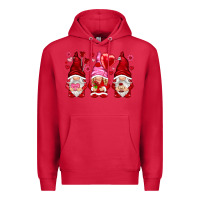 Cardinal valentines day gnomies with heart balloon Premium Hoodie - NancyCooperArtShop