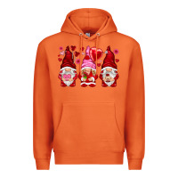 Carrot valentines day gnomies with heart balloon Premium Hoodie - NancyCooperArtShop