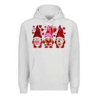 Dove Grey valentines day gnomies with heart balloon Premium Hoodie - NancyCooperArtShop