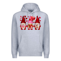 Heather Grey valentines day gnomies with heart balloon Premium Hoodie - NancyCooperArtShop