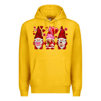 Lemon valentines day gnomies with heart balloon Premium Hoodie - NancyCooperArtShop