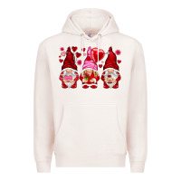 Pale Pink valentines day gnomies with heart balloon Premium Hoodie - NancyCooperArtShop