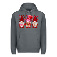 Valentines Day Gnomies With Heart Balloon Premium Hoodie | Teevron