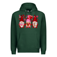 Sports Green valentines day gnomies with heart balloon Premium Hoodie - NancyCooperArtShop