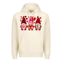 Tofu valentines day gnomies with heart balloon Premium Hoodie - NancyCooperArtShop