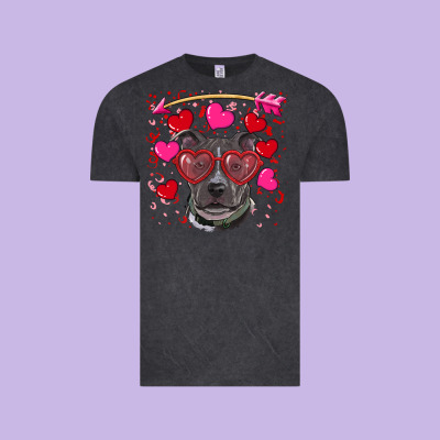 Vintage Tee Valentine's day  pitbull