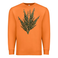 Carrot Botanical Sagebrush Illustrations Premium Sweatshirt - LillyAllenDesigns