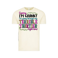 Vintage Arctic sorry im cranky im going through my terrible thirties right now Vintage Tee - texasbilliewilder