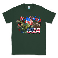 Sports Green Rawrrr in the USA 4th of july Classic Tee - CowGirlArtShop