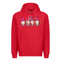 Red christmas gnomies Premium Hoodie - MaliasSmallBusiness