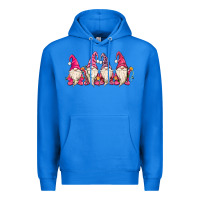 True Royal christmas gnomies Premium Hoodie - MaliasSmallBusiness