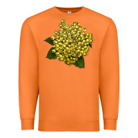 Carrot Oregon Grape Flower Illustrations Premium Sweatshirt - LillyAllenDesigns