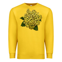 Lemon Oregon Grape Flower Illustrations Premium Sweatshirt - LillyAllenDesigns