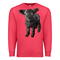 Cardinal southdown baby sheep Premium Sweatshirt - LillyAllenDesigns