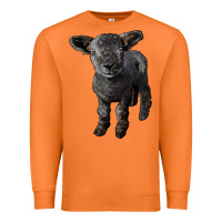 Carrot southdown baby sheep Premium Sweatshirt - LillyAllenDesigns