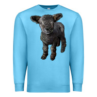 Ocean Blue southdown baby sheep Premium Sweatshirt - LillyAllenDesigns