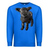 True Royal southdown baby sheep Premium Sweatshirt - LillyAllenDesigns
