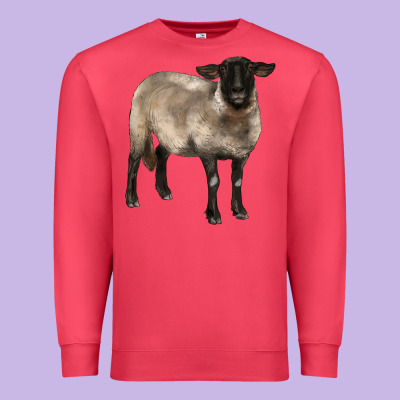Suffolk Ewe Premium Sweatshirt Designed By Barkaloodesign