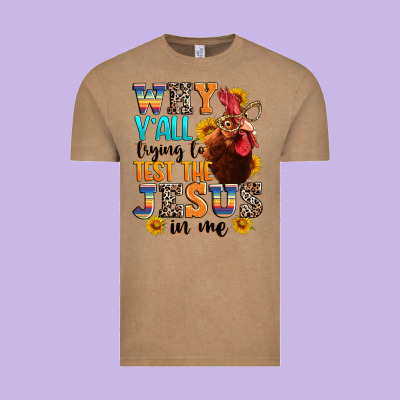 Vintage Tee why yall trying to test the jesus in me