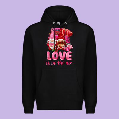 Love Is In The Air With Gnomies Premium Hoodie Designed By Nancycooperartshop