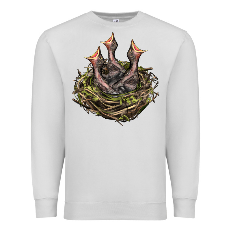 Bird Nest With Baby Birds Premium Sweatshirt by LillyAllenDesigns | Teevron