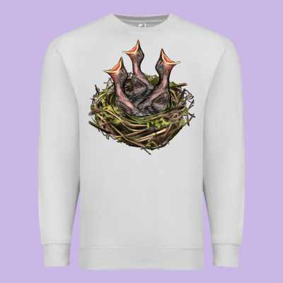 Bird Nest With Baby Birds Premium Sweatshirt Designed By Lillyallendesigns
