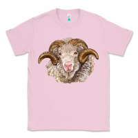 Bubblegum Pink merino wool ram Classic Tee - BarkalooDesign
