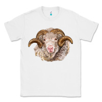 White merino wool ram Classic Tee - BarkalooDesign