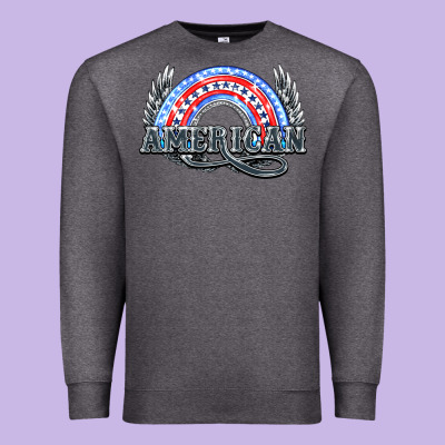 American Rainbow Premium Sweatshirt Designed By Nancycooperartshop