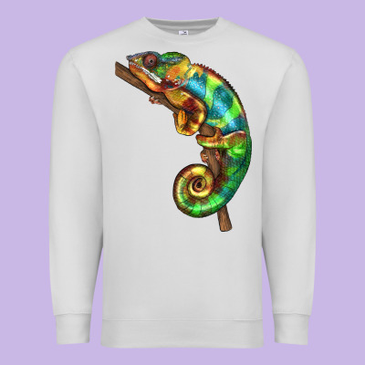 Chameleon Lizard Illustrations Premium Sweatshirt Designed By Lillyallendesigns