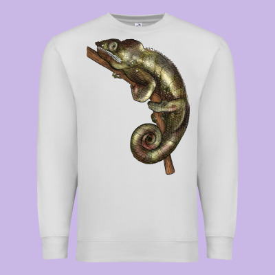 Green Chameleon Lizard Illustrations Premium Sweatshirt Designed By Lillyallendesigns
