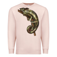 Pale Pink Green Chameleon Lizard Illustrations Premium Sweatshirt - LillyAllenDesigns