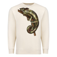 Sandshell Green Chameleon Lizard Illustrations Premium Sweatshirt - LillyAllenDesigns