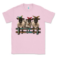 Bubblegum Pink 3 sheeps suffolk ewe with bandanas and fence Classic Tee - BarkalooDesign
