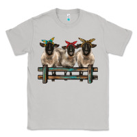 Moon Dust 3 sheeps suffolk ewe with bandanas and fence Classic Tee - BarkalooDesign