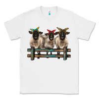 White 3 sheeps suffolk ewe with bandanas and fence Classic Tee - BarkalooDesign