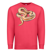 Cardinal Rosy Boa Snake Illustrations Premium Sweatshirt - LillyAllenDesigns